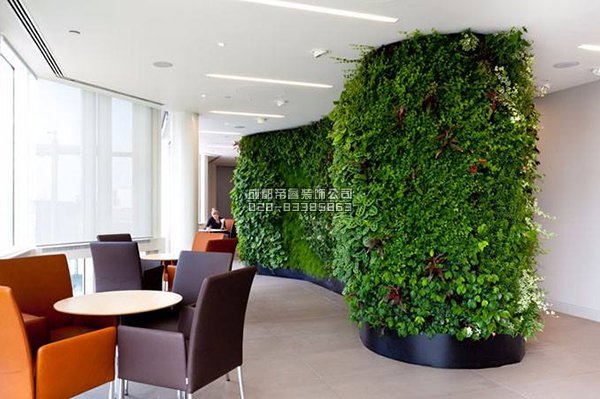 辦公室裝修完以后擺放什么綠植好？